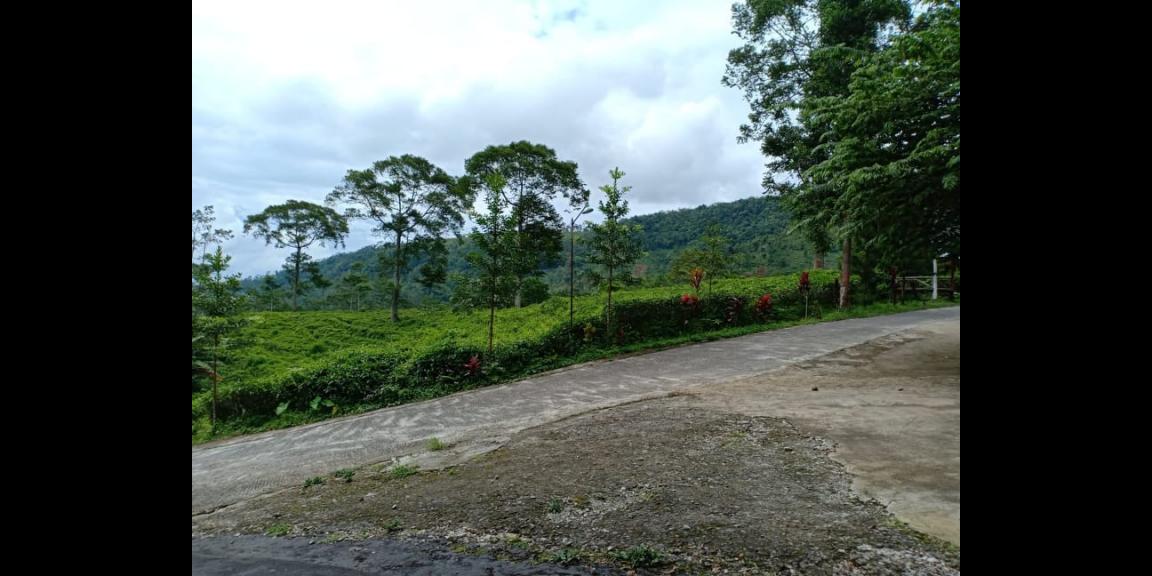 Rumah Vila Siap Huni View Kebun Teh Kemuning Ngargoyoso Karanganyar Rumah Vila Siap Huni View Kebun Teh Kemuning Ngargoyoso Karanganyar