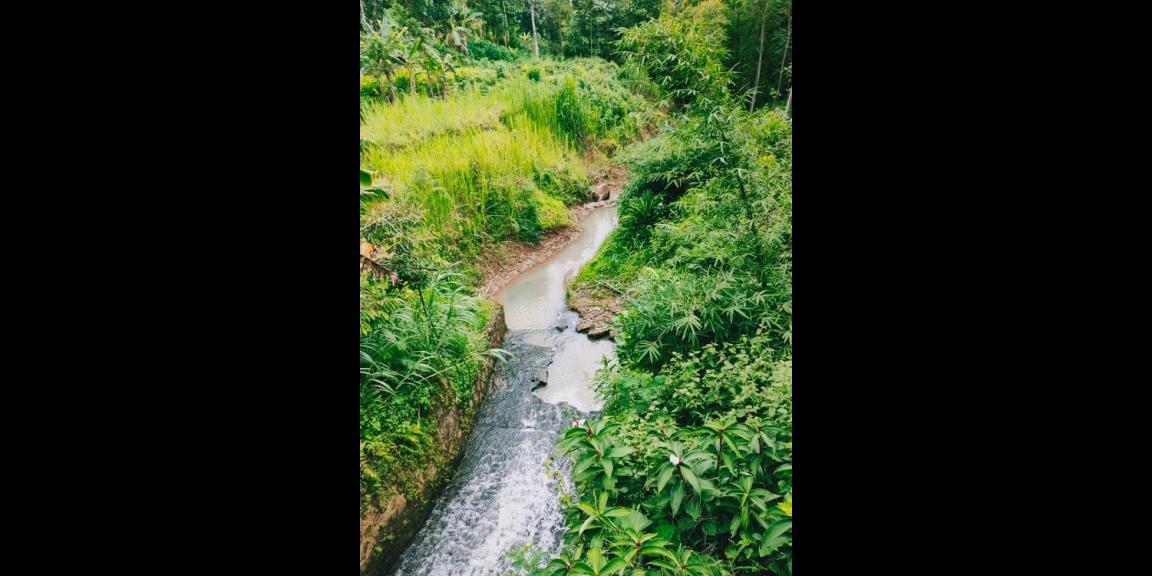 Tanah 3476m² Strtegis Dibangun Vila Dekat Terminal Wisata Karangpandan Tanah 3476m² Strtegis Dibangun Vila Dekat Terminal Wisata Karangpandan