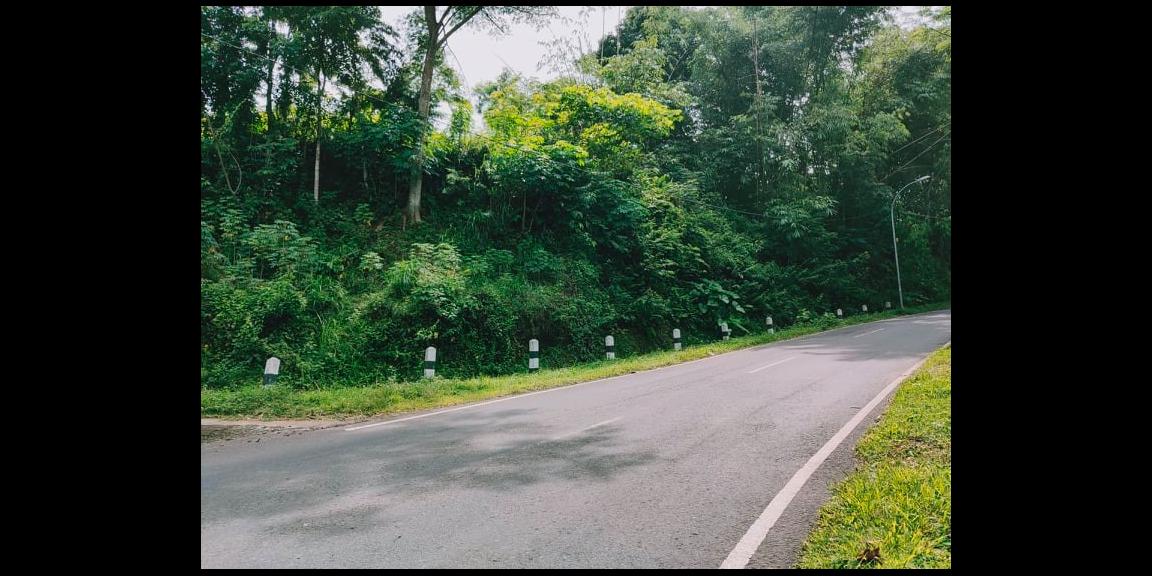 Tanah Idaman Strategis Buka Usaha Tepi Jl. Raya Mojogedang-Karanganyar Tanah Idaman Strategis Buka Usaha Tepi Jl. Raya Mojogedang-Karanganyar