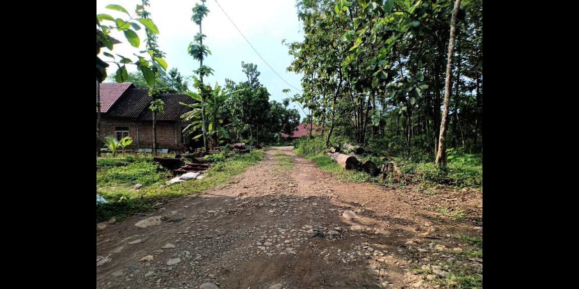 Tanah Dijual Murah Sambirejo Sragen Tanah Dijual Murah Sambirejo Sragen