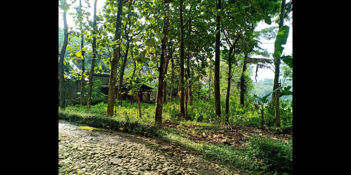 Tanah Pekarangan di Karangpandan Karanganyar Tanah Pekarangan di Karangpandan Karanganyar