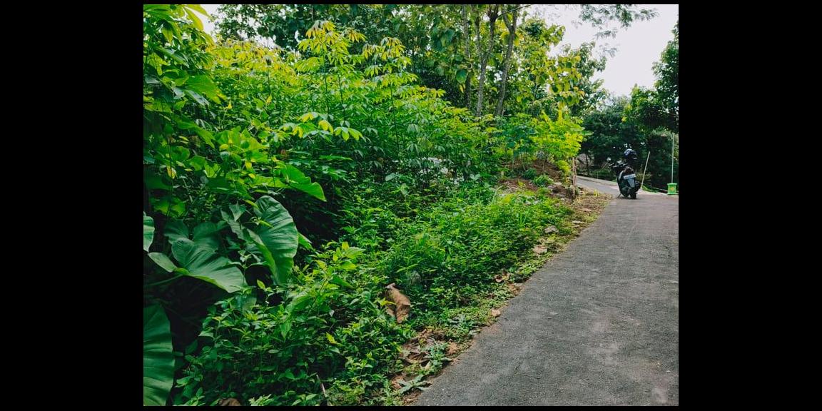 Tanah Strategis Dibangun Rumah Tinggal Kerjo Karanganyar Tanah Strategis Dibangun Rumah Tinggal Kerjo Karanganyar