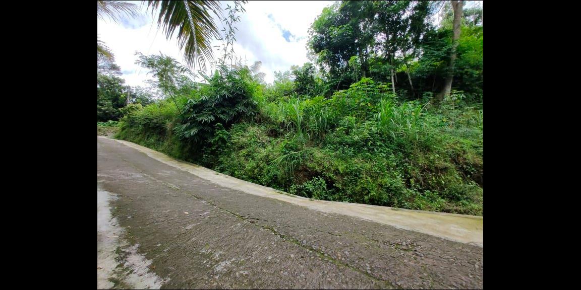 Tanah Strategis Buka Usaha Dapat 3 Akses Jalan Mojogedang Karanganyar Tanah Strategis Buka Usaha Dapat 3 Akses Jalan Mojogedang Karanganyar