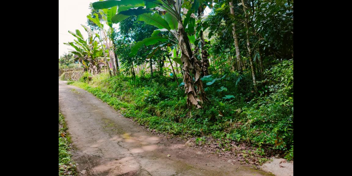 Dijual Tanah Strategis Dibangun Villa Kerjo Karanganyar Dijual Tanah Strategis Dibangun Villa Kerjo Karanganyar