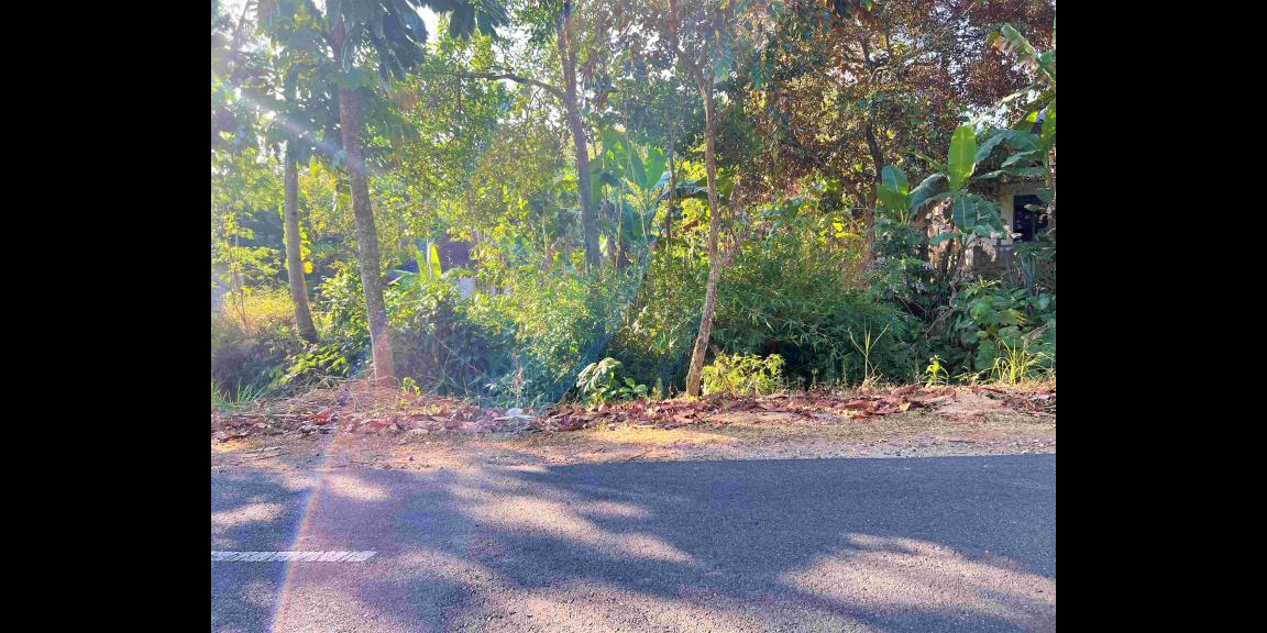 Dijual Kebun Durian Jl Karangpandan-Tawangmangu Dijual Kebun Durian Jl Karangpandan-Tawangmangu