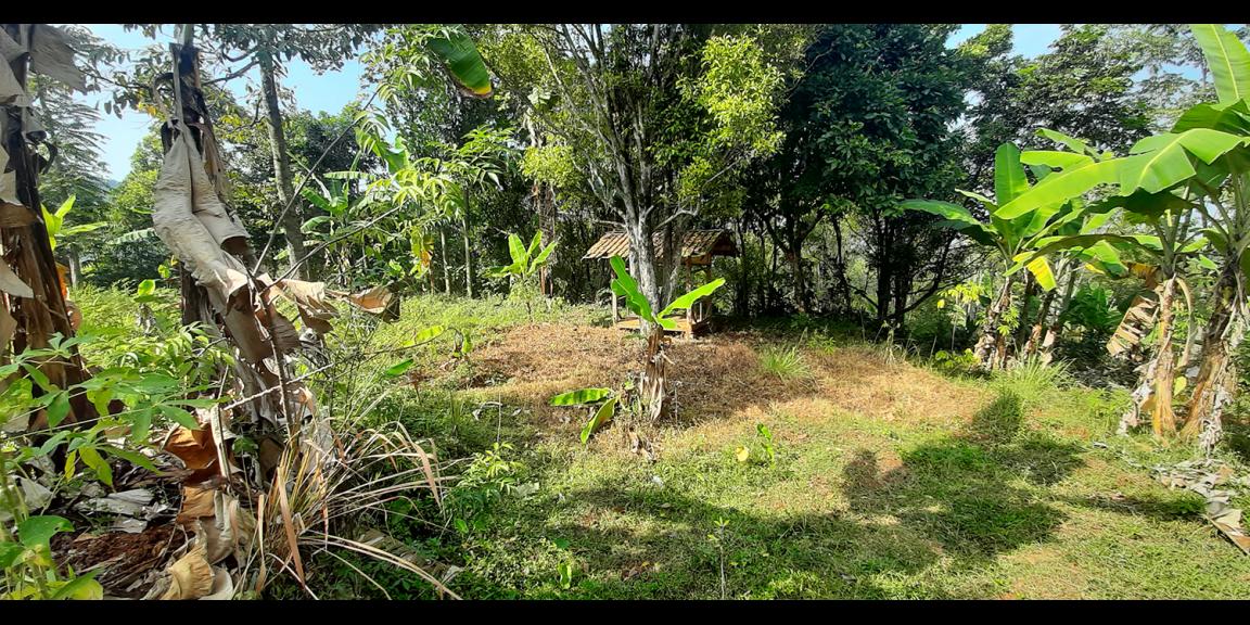 TANAH KOMERSIAL MAIN ROAD ARCAMANIK SINDANGLAYA BANDUNG TANAH KOMERSIAL MAIN ROAD ARCAMANIK SINDANGLAYA BANDUNG