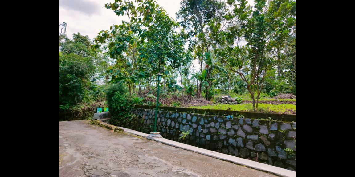 Dijual Tanah Kebun Jati Pekarangan Mojogedang Karanganyar Dijual Tanah Kebun Jati Pekarangan Mojogedang Karanganyar