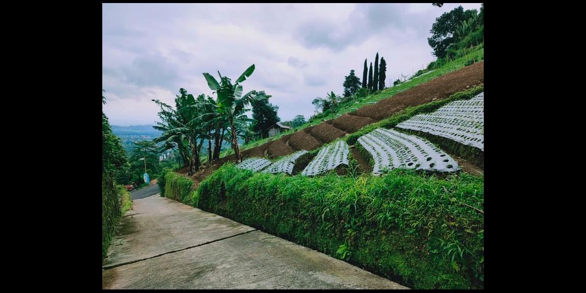Tanah Strategis Dibangun Vila Kemuning Ngargoyoso Karanganyar Tanah Strategis Dibangun Vila Kemuning Ngargoyoso Karanganyar