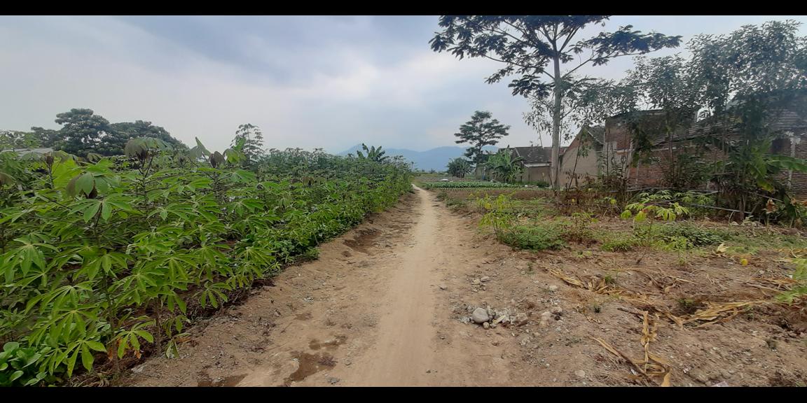 TANAH UNTUK PERUMAHAN DEKAT PODOMORO PARK BUAH BATU BANDUNG TANAH UNTUK PERUMAHAN DEKAT PODOMORO PARK BUAH BATU BANDUNG