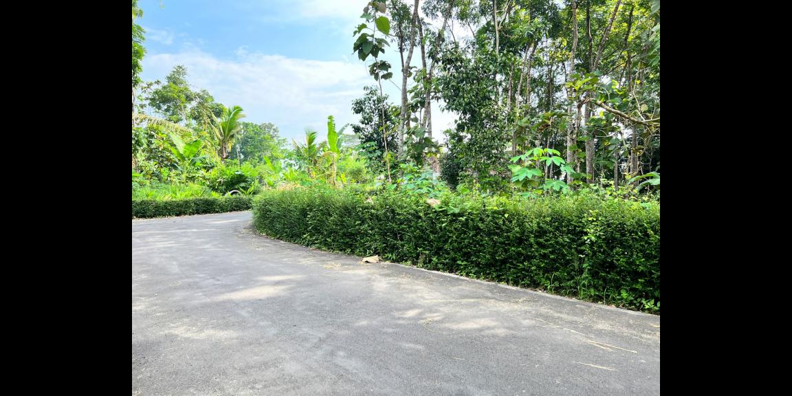 Dijual Tanah Pekarangan Mojogedang Karanganyar Dijual Tanah Pekarangan Mojogedang Karanganyar