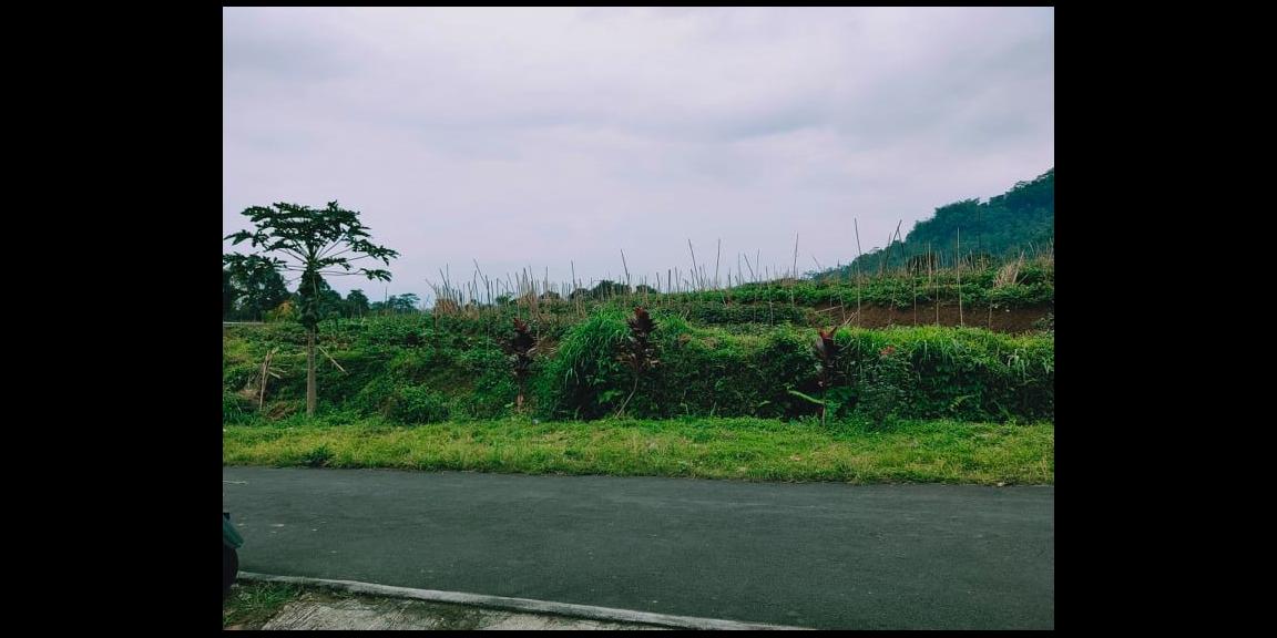 Tanah Siap Dibangun Kemuning Ngargoyoso Karanganyar Tanah Siap Dibangun Kemuning Ngargoyoso Karanganyar