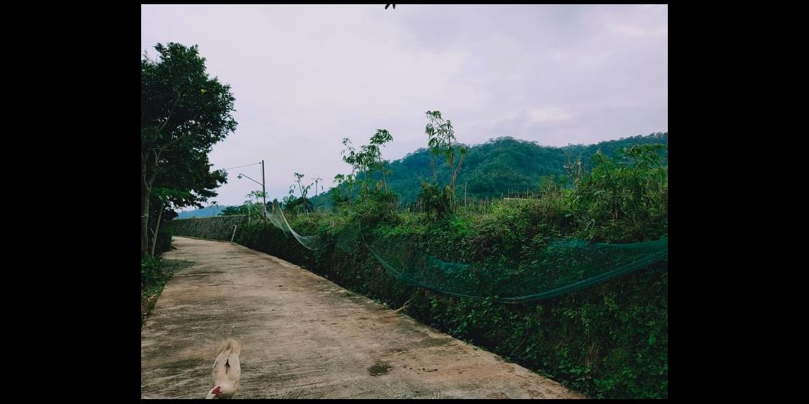 Tanah Strategis di Desa Wisata Kemuning Ngargoyoso Karanganyar Tanah Strategis di Desa Wisata Kemuning Ngargoyoso Karanganyar