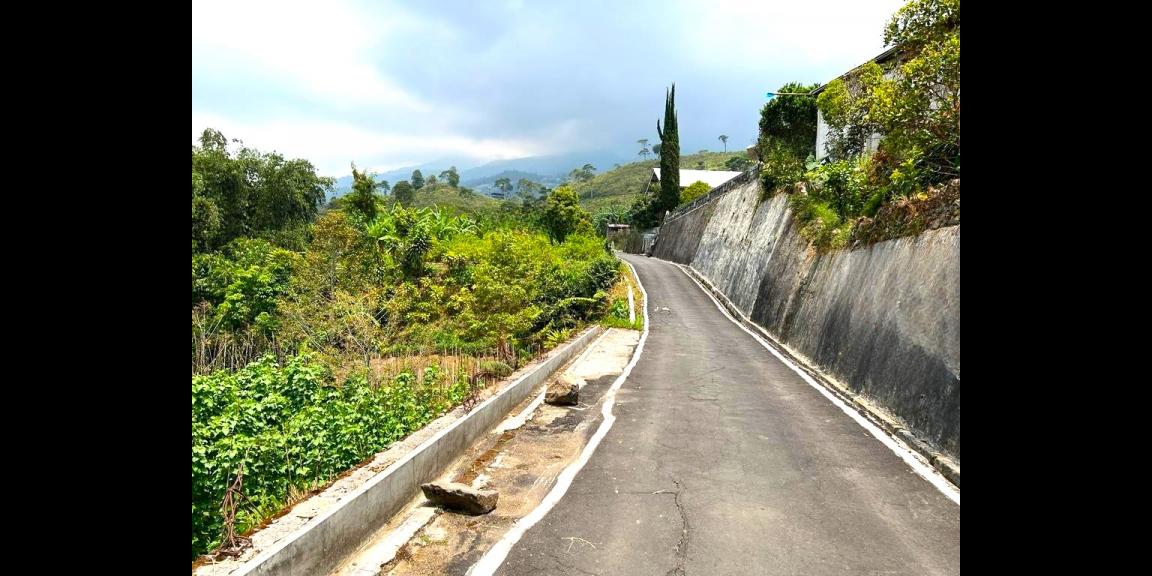 Tanah Area Kebun Teh & Jembatan Kaca Kemuning Karanganyar Tanah Area Kebun Teh & Jembatan Kaca Kemuning Karanganyar