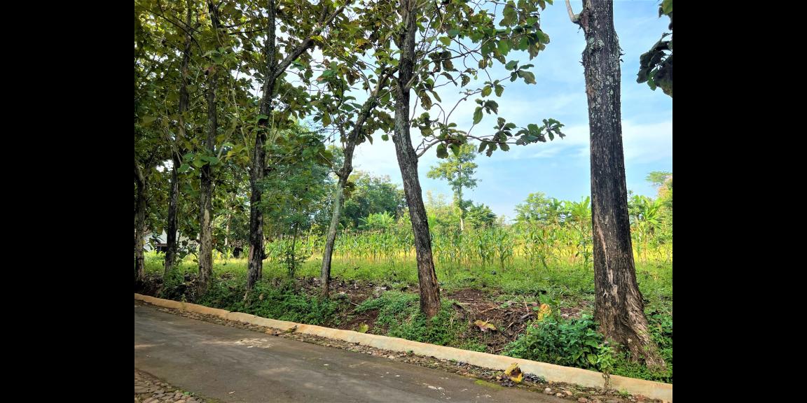 TANAH SUPER DATAR COCOK DIBANGUN RUMAH TINGGAL KERJO KARANGANYAR TANAH SUPER DATAR COCOK DIBANGUN RUMAH TINGGAL KERJO KARANGANYAR