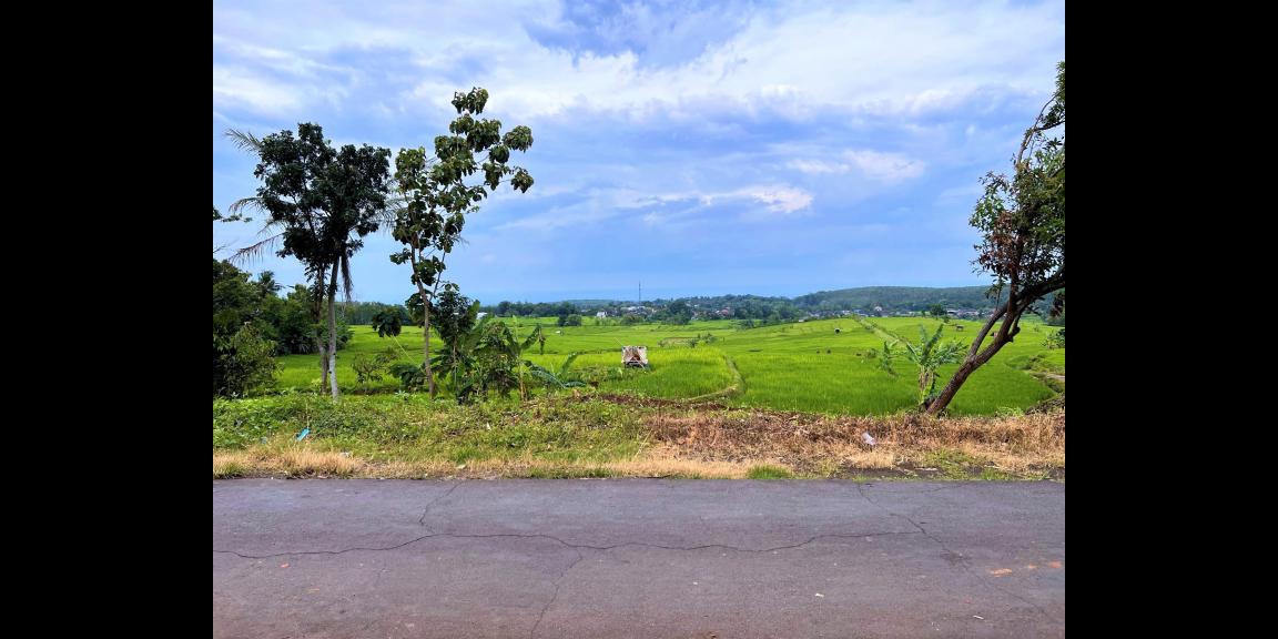 Tanah Strategis 150 Juta Kerjo Karanganyar Tanah Strategis 150 Juta Kerjo Karanganyar