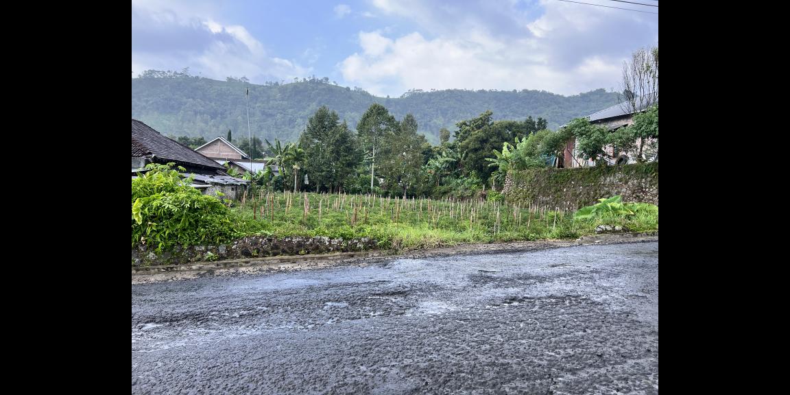 Tanah Datar Strategis Buka Usaha Kemuning Karanganyar Tanah Datar Strategis Buka Usaha Kemuning Karanganyar