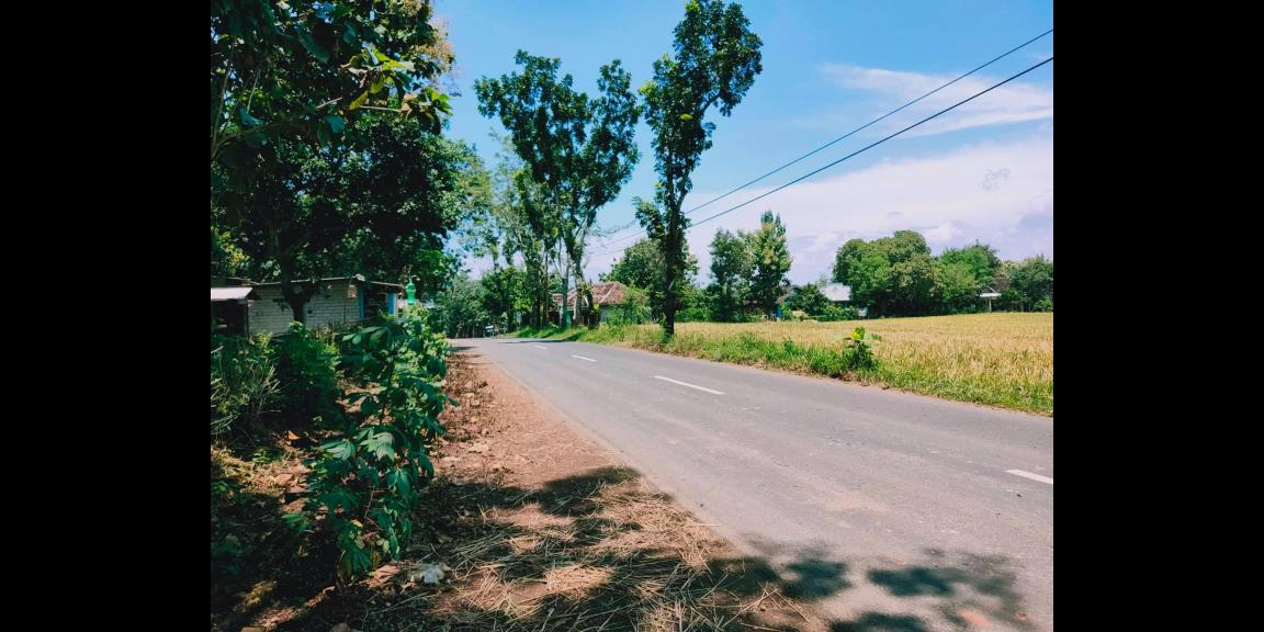 Tanah Idaman Strategis Buka Usaha Tepi Jl. Raya Kedawung-Sragen Tanah Idaman Strategis Buka Usaha Tepi Jl. Raya Kedawung-Sragen