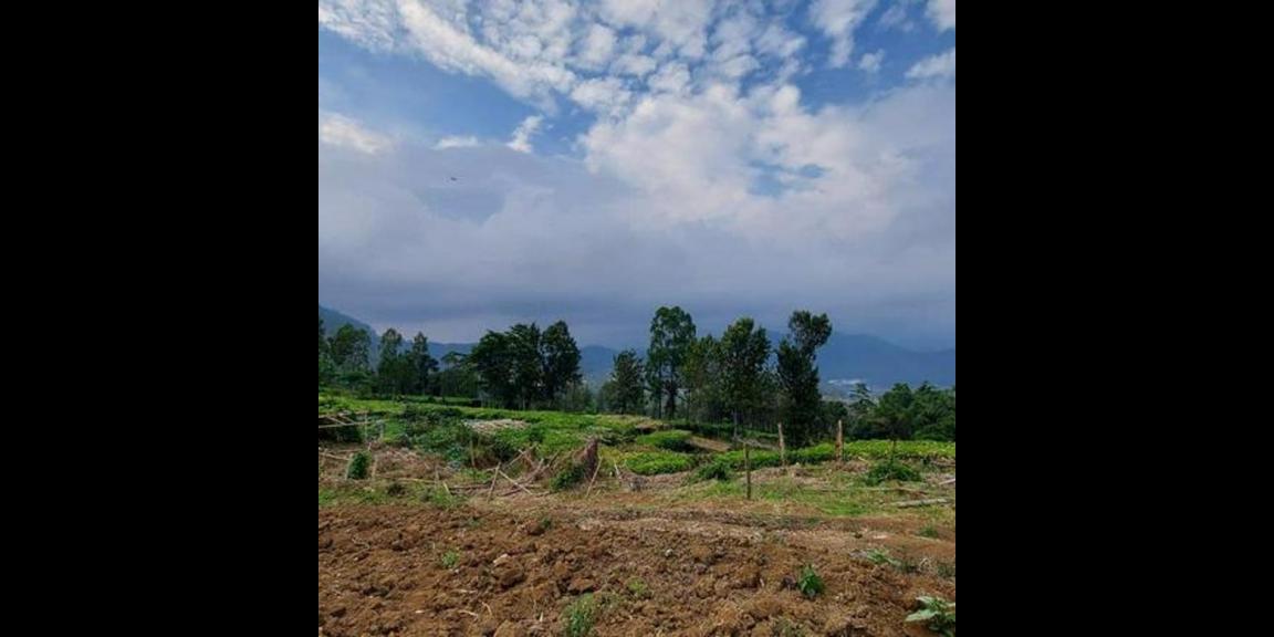 Jual Tanah Murah Daerah Cempaka Atas Kota Batu Jual Tanah Murah Daerah Cempaka Atas Kota Batu