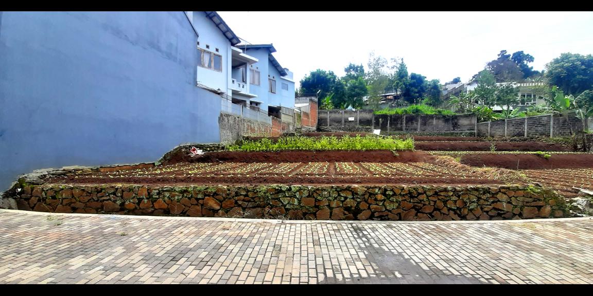 TANAH UNTUK RUMAH TINGGAL ATAU VILLA DI SAYAP SERSAN BAJURI KOTA BANDUNG TANAH UNTUK RUMAH TINGGAL ATAU VILLA DI SAYAP SERSAN BAJURI KOTA BANDUNG