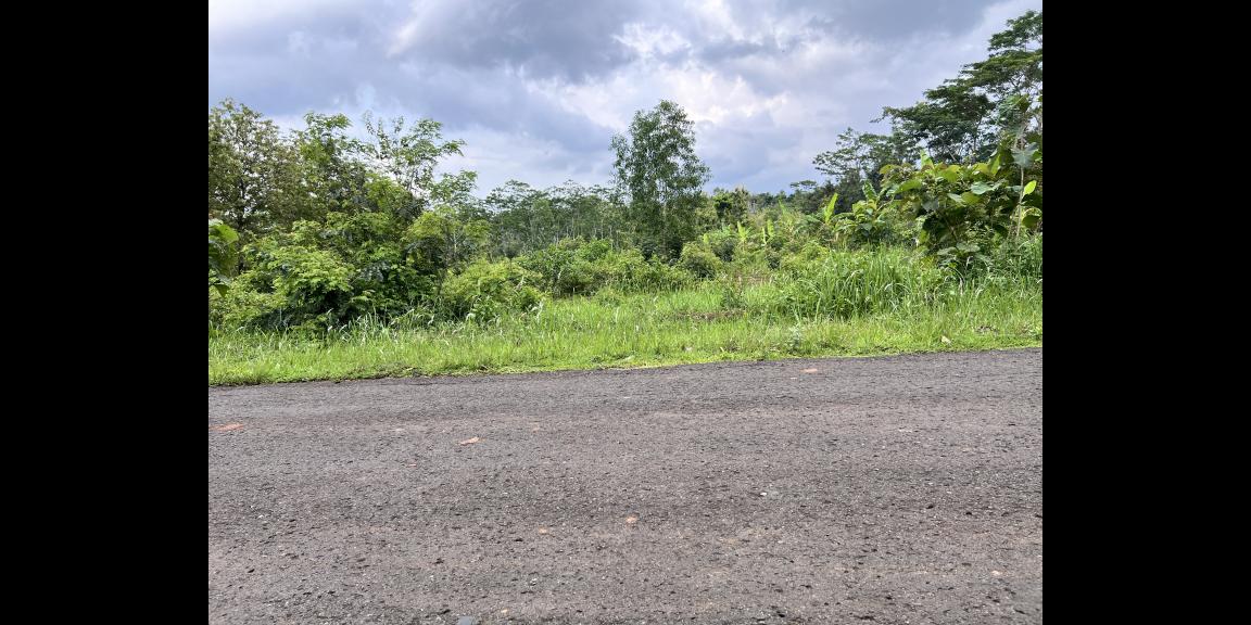 Tanah 1 Hektar Tepi Jalan Raya Kerjo Karanganyar Tanah 1 Hektar Tepi Jalan Raya Kerjo Karanganyar