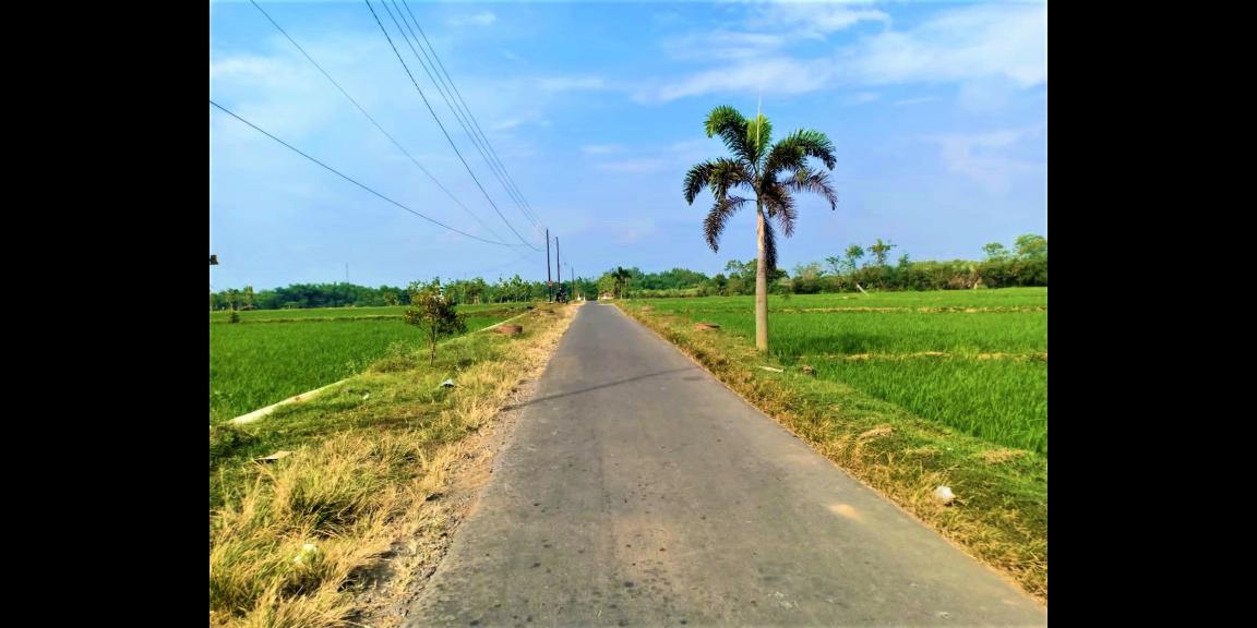 DIJUAL TANAH COCOK UNTUK INVESTASI SRAGEN JATENG DIJUAL TANAH COCOK UNTUK INVESTASI SRAGEN JATENG