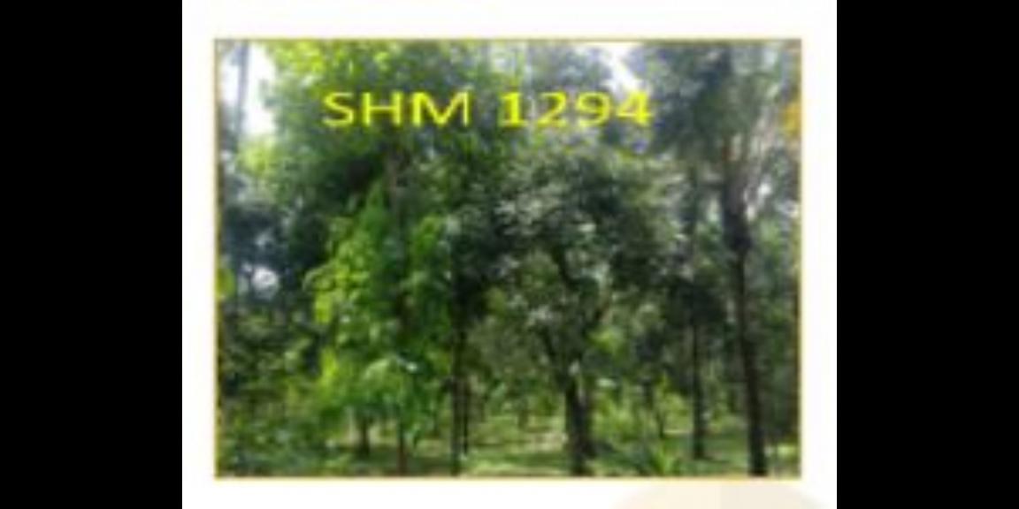 Jual Tanah Kosong di Gerokgak Buleleng Bali Harga Murah dibawah 1.5M Jual Tanah Kosong di Gerokgak Buleleng Bali Harga Murah dibawah 1.5M