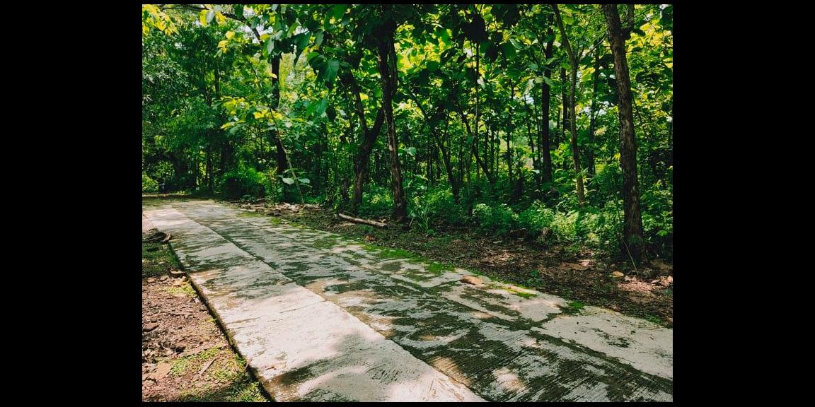 DIJUAL TANAH KEBUN JATI DEKAT PASAR KEDAWUNG SRAGEN DIJUAL TANAH KEBUN JATI DEKAT PASAR KEDAWUNG SRAGEN