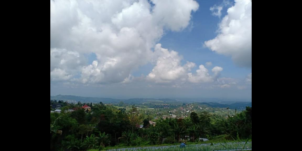 Tanah Idaman Dataran Tinggi Kemuning Ngargoyoso Karanganyar Telp/WA: 082327612345 Tanah Idaman Dataran Tinggi Kemuning Ngargoyoso Karanganyar Telp/WA: 082327612345