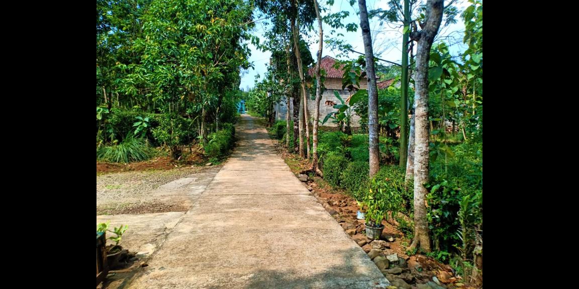 DIJUAL TANAH 150 RIBU PERMETER KECAMATAN KARANGANYAR JATENG DIJUAL TANAH 150 RIBU PERMETER KECAMATAN KARANGANYAR JATENG