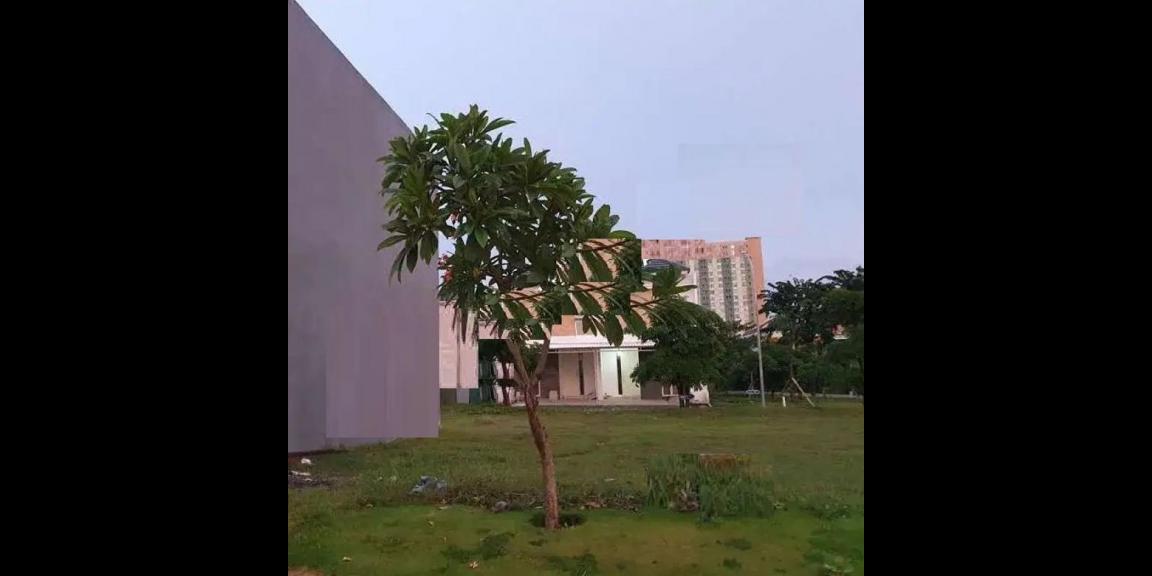 Jual Tanah Kawasan Perumahan Zimbali Costa Pakuwon City Jual Tanah Kawasan Perumahan Zimbali Costa Pakuwon City