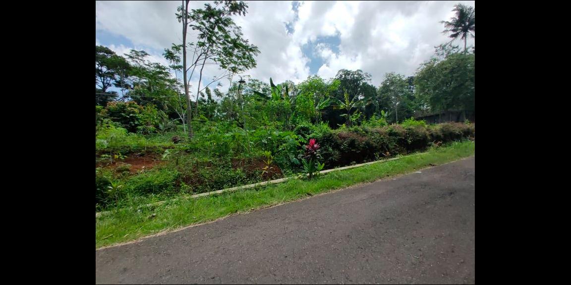 Tanah Strategis 1,1 Ha Tepi Jl. Raya Mojogedang-Karangpandan Kra Tanah Strategis 1,1 Ha Tepi Jl. Raya Mojogedang-Karangpandan Kra