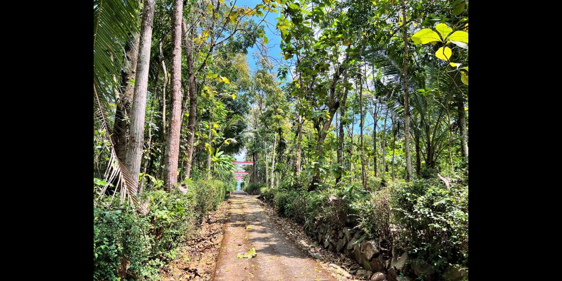 Tanah 1720m² Super Datar Karanganyar Tanah 1720m² Super Datar Karanganyar