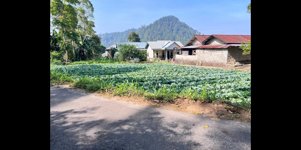 Tanah Murah 505m² 350 Juta Kawasan Wisata Karanganyar Tanah Murah 505m² 350 Juta Kawasan Wisata Karanganyar