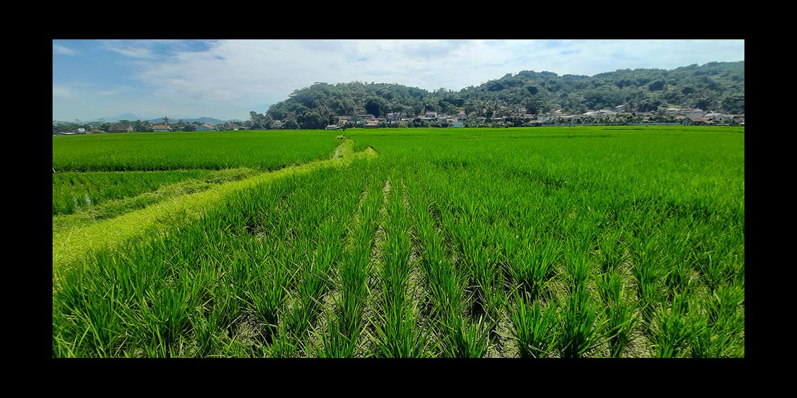 TANAH UNTUK PERUMAHAN ATAU PERMUKIMAN DI CILILIN BANDUNG BARAT TANAH UNTUK PERUMAHAN ATAU PERMUKIMAN DI CILILIN BANDUNG BARAT
