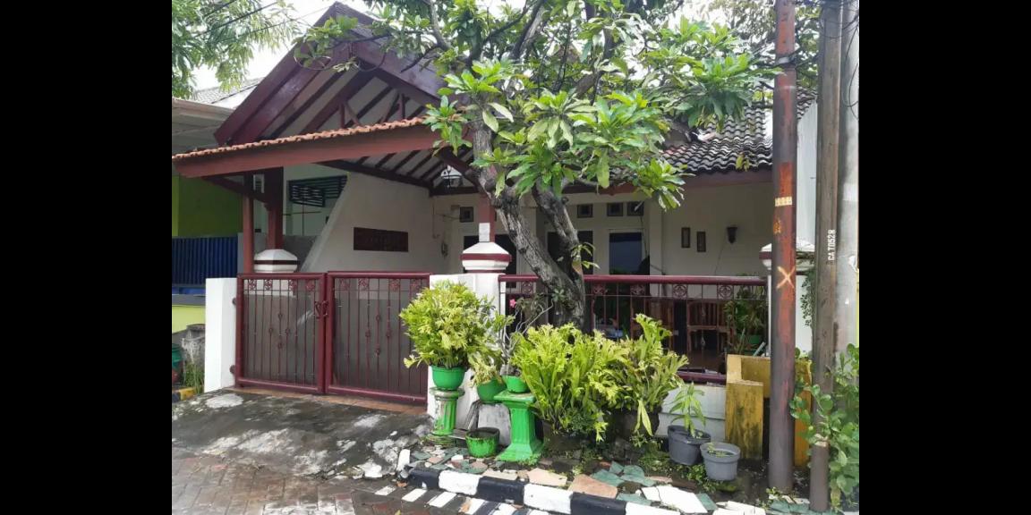 Jual Rumah Murah di Wiguna Selatan Daerah Gunung Anyar Jual Rumah Murah di Wiguna Selatan Daerah Gunung Anyar