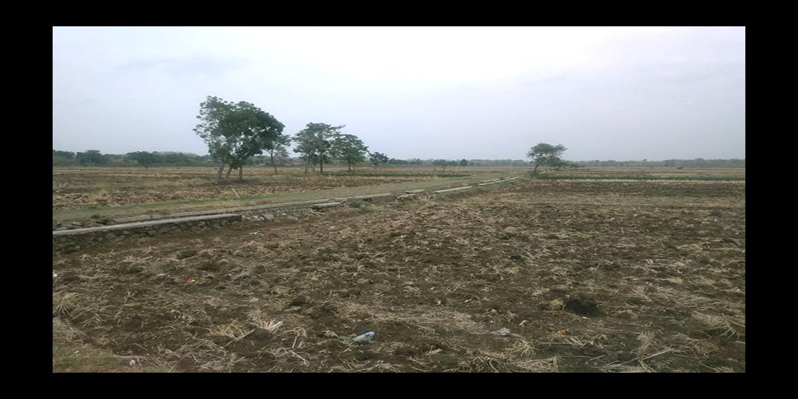 TANAH UNTUK PERUMAHAN DAN PERMUKIMAN  DEKAT BANDARA INTERNATIONAL KERTAJATI-MAJALENGKA  TANAH UNTUK PERUMAHAN DAN PERMUKIMAN  DEKAT BANDARA INTERNATIONAL KERTAJATI-MAJALENGKA