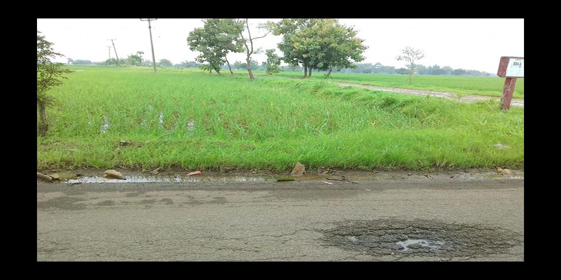 TANAH UNTUK INVESTASI DI KAWASAN BERKEMBANG DEKAT GT. SUMBERJAYA, CIPALI-MAJALENGKA TANAH UNTUK INVESTASI DI KAWASAN BERKEMBANG DEKAT GT. SUMBERJAYA, CIPALI-MAJALENGKA