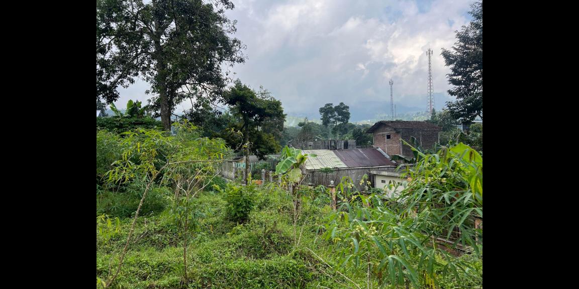 Tanah Strategis 1 Menit Dari Kebun Teh Kemuning Tanah Strategis 1 Menit Dari Kebun Teh Kemuning