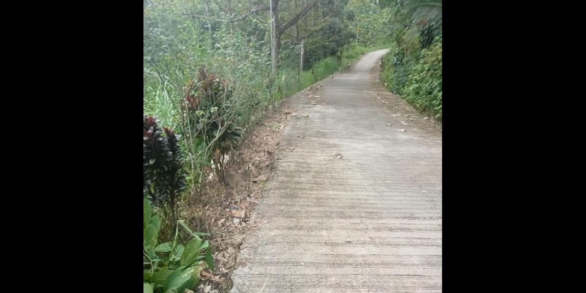 Tanah Udara Dingin dekat Candi Cetho Jenawi Karanganyar Tanah Udara Dingin dekat Candi Cetho Jenawi Karanganyar