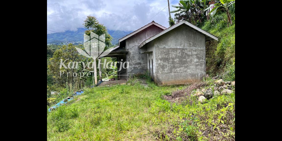 Rumah Area Kebun Teh Kemuning Karanganyar Rumah Area Kebun Teh Kemuning Karanganyar
