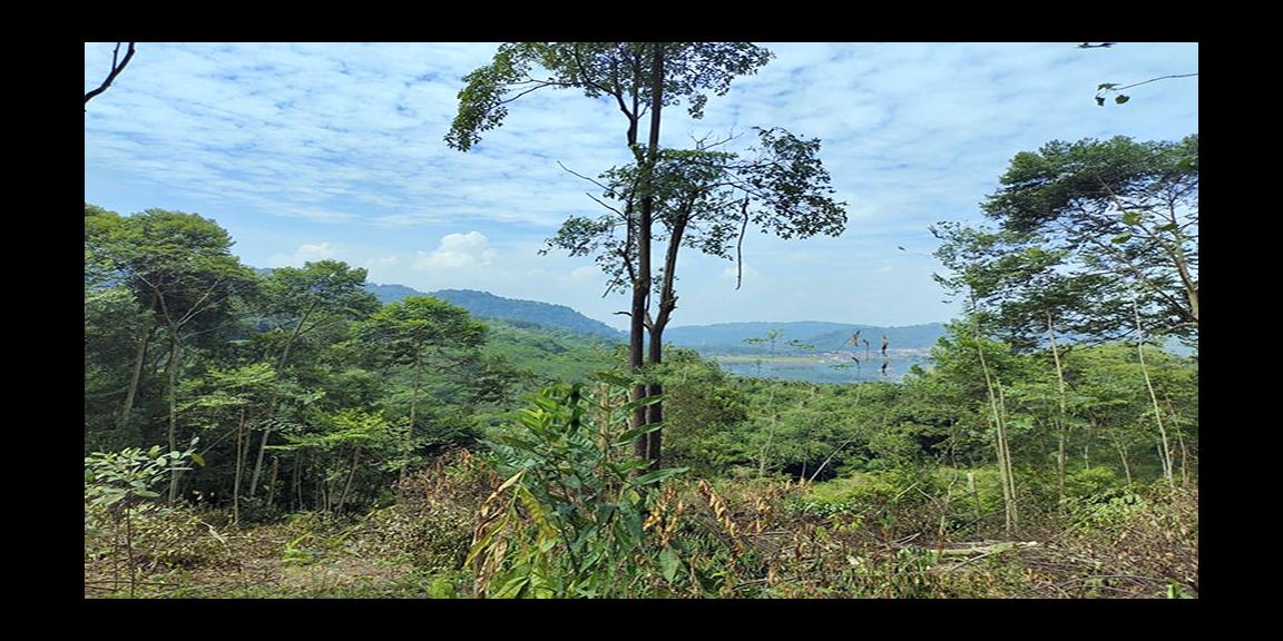 TANAH UNTUK AGRO WISATA RESORT PERKEBUNAN PETERNAKAN DEKAT JALAN CAGAK SUBANG TANAH UNTUK AGRO WISATA RESORT PERKEBUNAN PETERNAKAN DEKAT JALAN CAGAK SUBANG