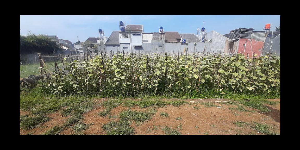 KAVLING 135 M2 MUKA 9 METER SHM AKSES MOBIL DI CISARANTEN KULON BANDUNG KAVLING 135 M2 MUKA 9 METER SHM AKSES MOBIL DI CISARANTEN KULON BANDUNG