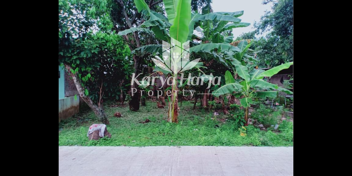 Dijual Tanah Idaman Sragen Kota Dijual Tanah Idaman Sragen Kota