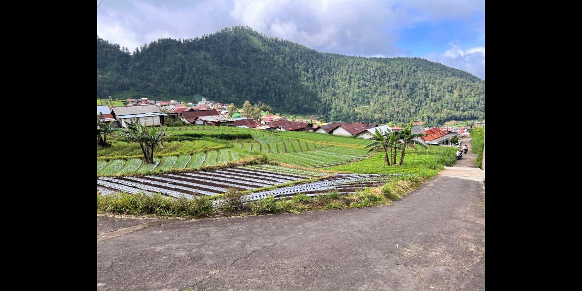 Tanah 206m² Gondosuli Tawangmangu Karanganyar Tanah 206m² Gondosuli Tawangmangu Karanganyar