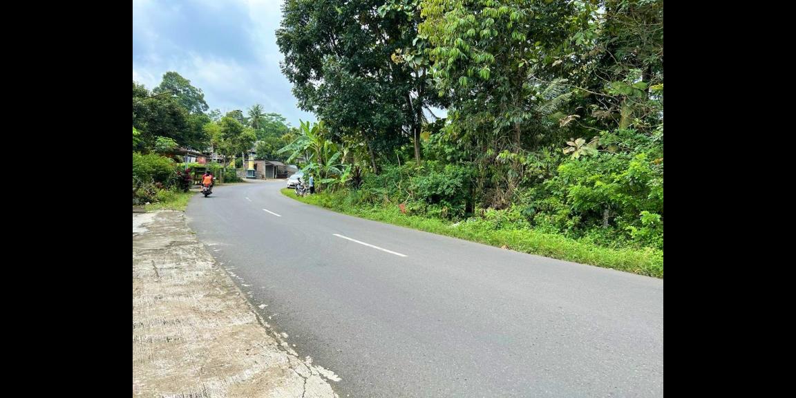 Jual Kebun Durian Jl Raya Karangpandan Karanganyar Jual Kebun Durian Jl Raya Karangpandan Karanganyar