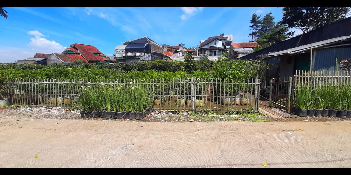 TANAH KAVLING STRAWBERRY SAYAP SERSAN BAJURI BANDUNG TANAH KAVLING STRAWBERRY SAYAP SERSAN BAJURI BANDUNG