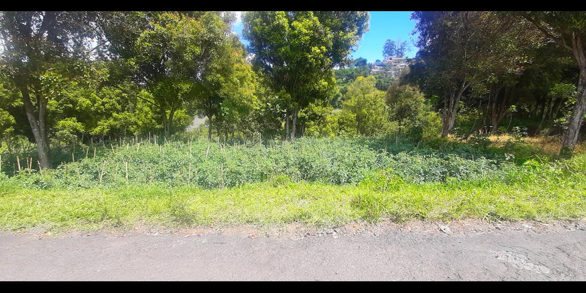 TANAH HUNIAN DAN KOMERSIL DI CIUMBULEUIT BANDUNG TANAH HUNIAN DAN KOMERSIL DI CIUMBULEUIT BANDUNG