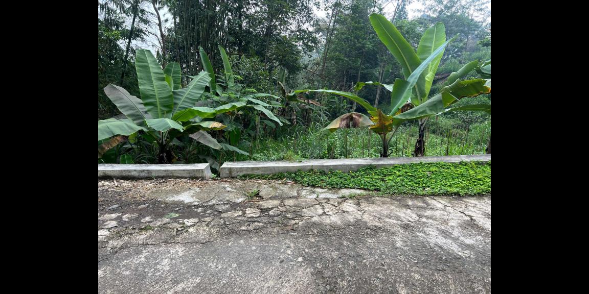 Tanah 1300m² Dekat Sungai Wisata River Tubing Ngargoyoso Tanah 1300m² Dekat Sungai Wisata River Tubing Ngargoyoso