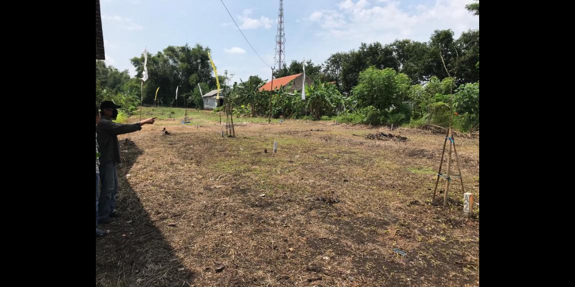 Tanah Sangat Murah dan Luas Daerah Mojokopek Pasuruan Tanah Sangat Murah dan Luas Daerah Mojokopek Pasuruan