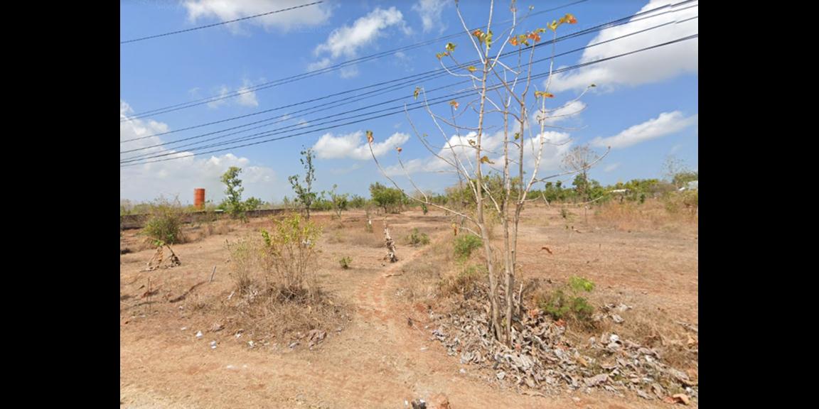 Jual Tanah Kosong Luas di daerah Saronggi Sumenep Jual Tanah Kosong Luas di daerah Saronggi Sumenep